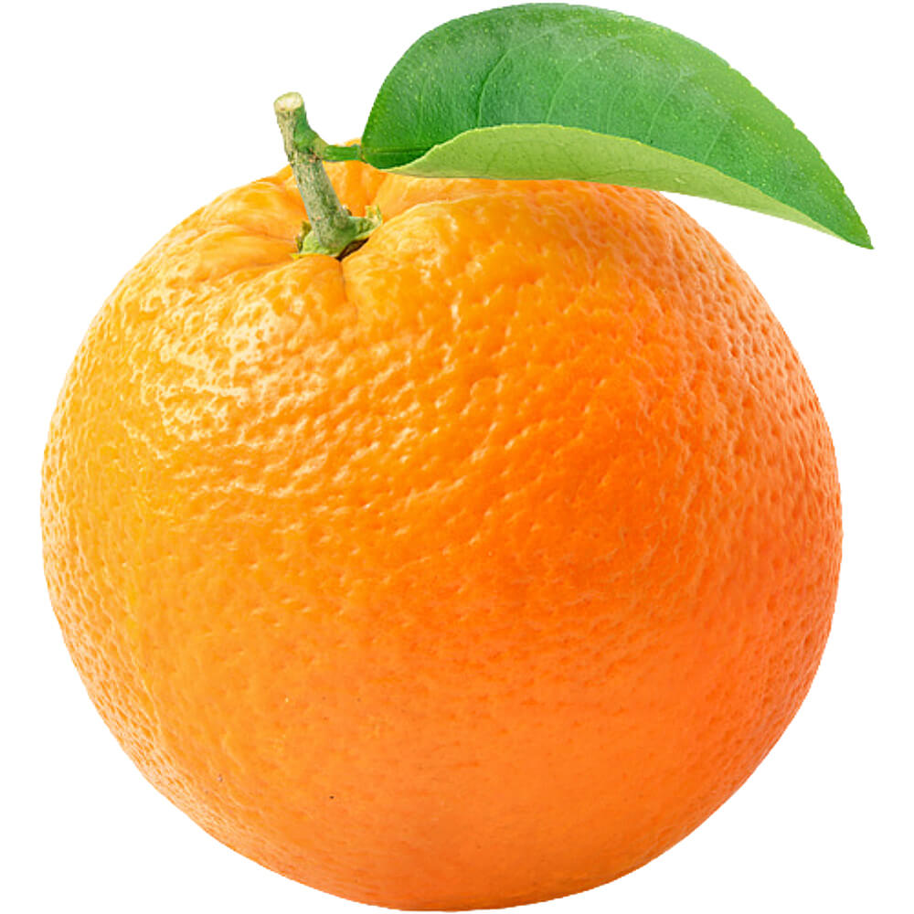 Orange Valencia